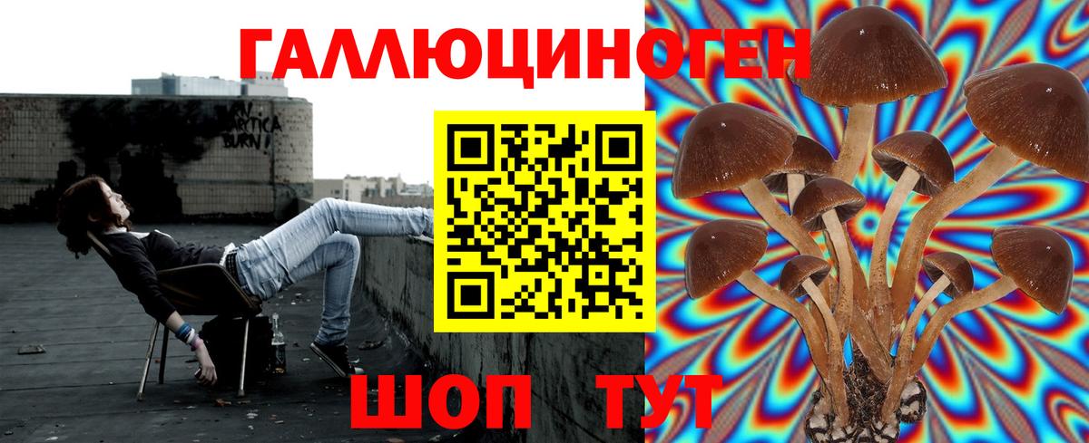 что такое   Вход с VPN  Черемхово  Галлюциногенные грибы ЛСД 